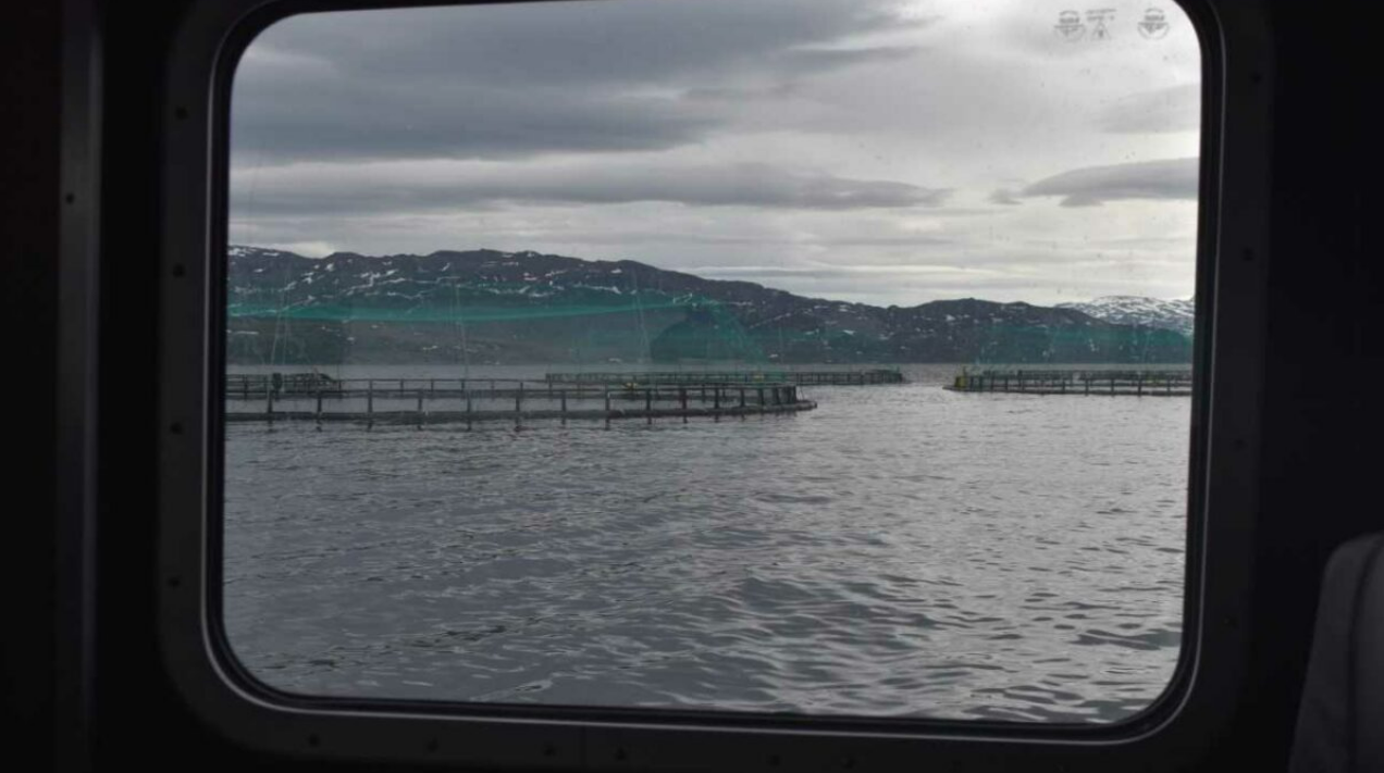 Photo of view of salmon farm