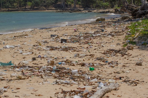 garbage site on beach. photo