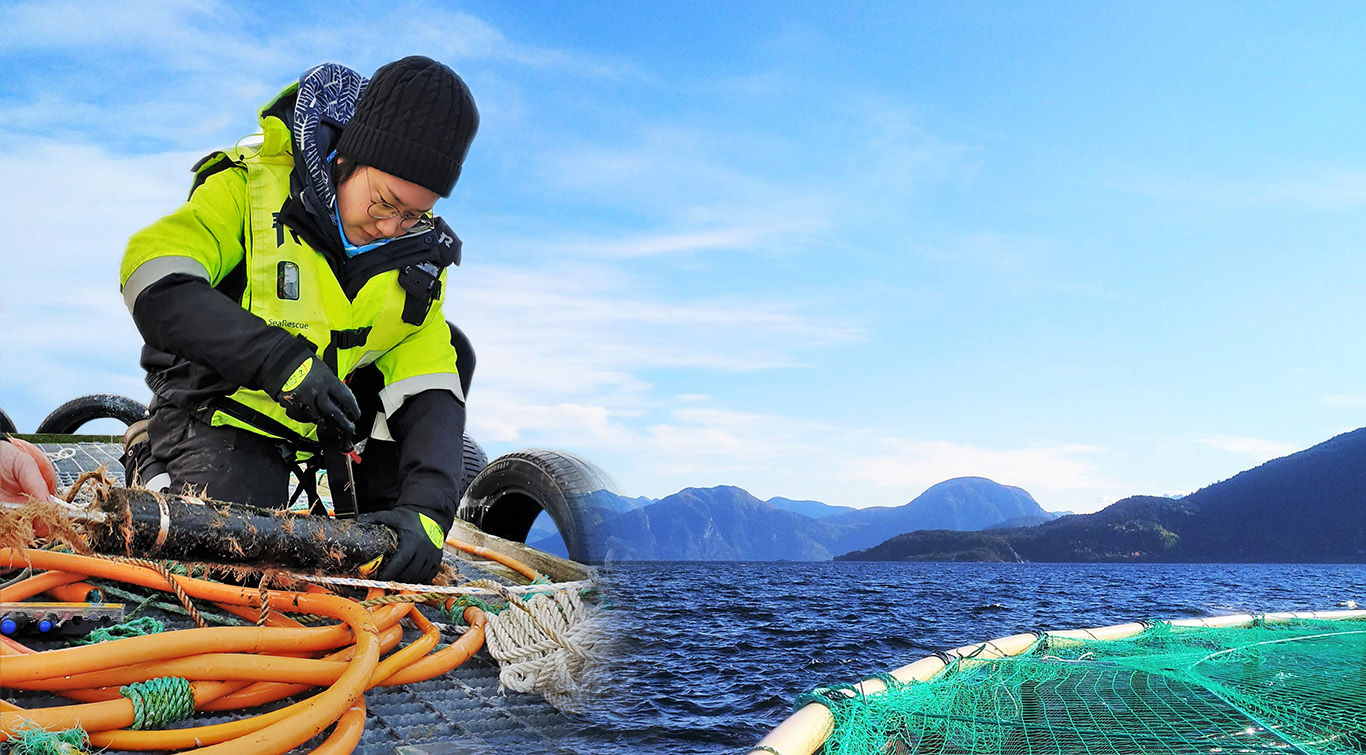 A photo collage of the ocean and a woman working on retrieving a velocimeter