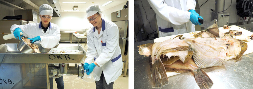 A photo collage with women working with fish in a lab, and cutting of fish.