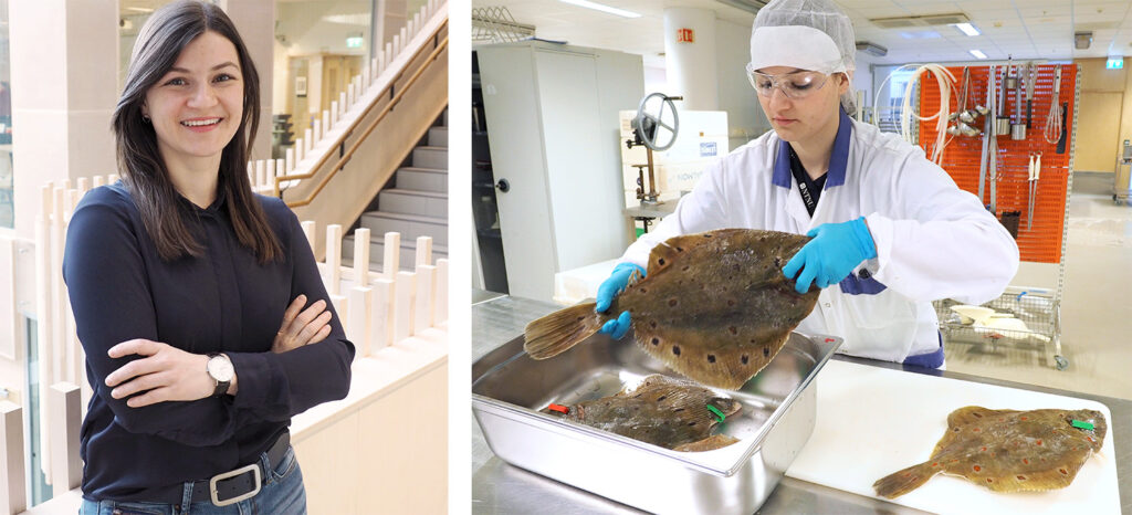A photo collage with a portrait photo of a woman, and a woman working with fish in a lab.