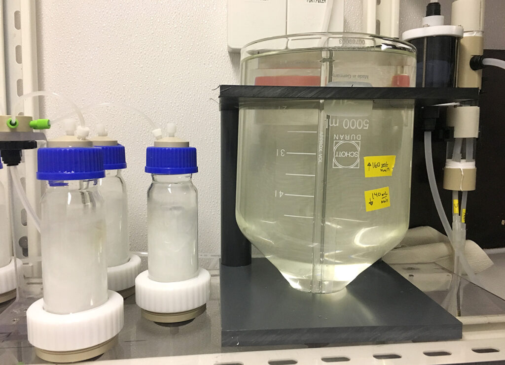 A photo of lab set up.