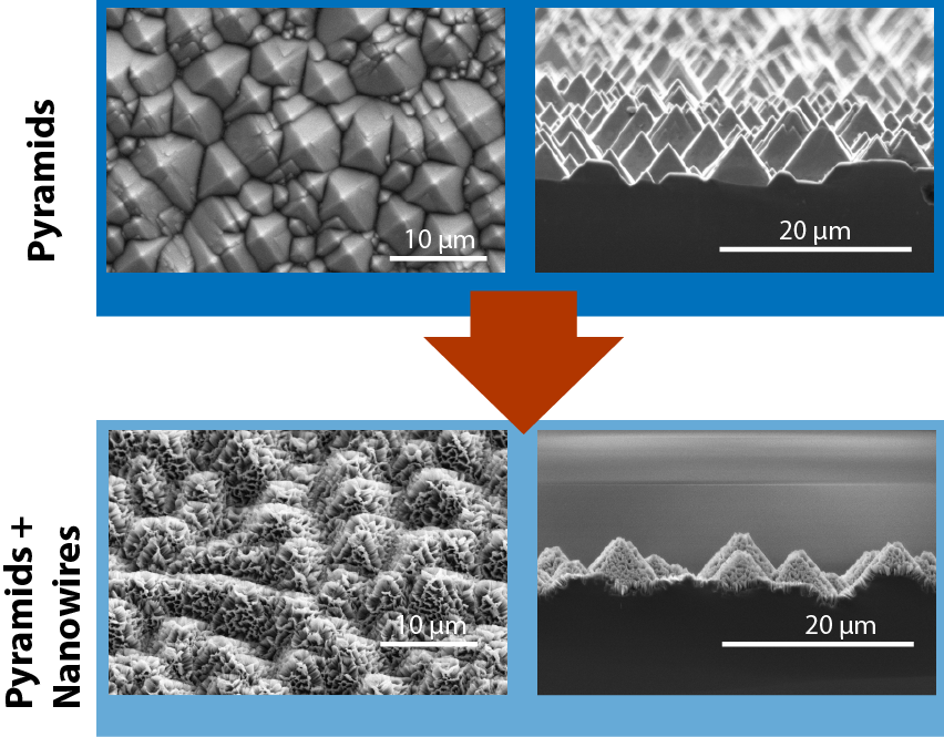 SEM image of the surfaces developed combining micro-sized pyramidal structures with nano-sized structures added as a roughness.