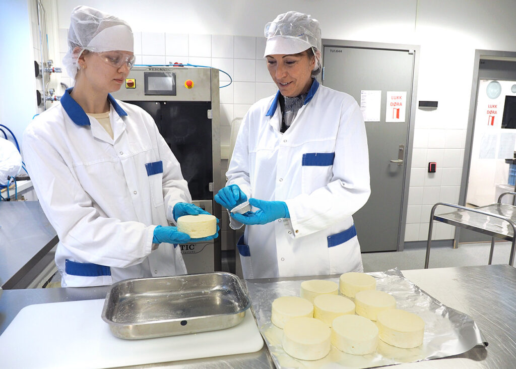 Et bilde av to personer på en lab med en ost.