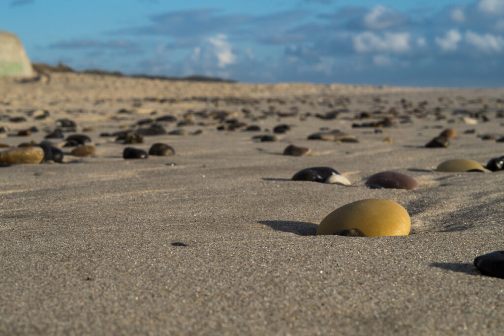 Nærbilde av en sandstrand med flate steiner.